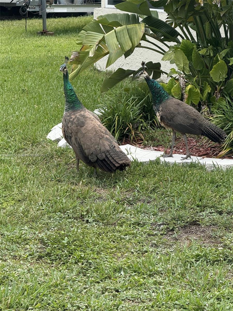 REARDON ACRES - Residential