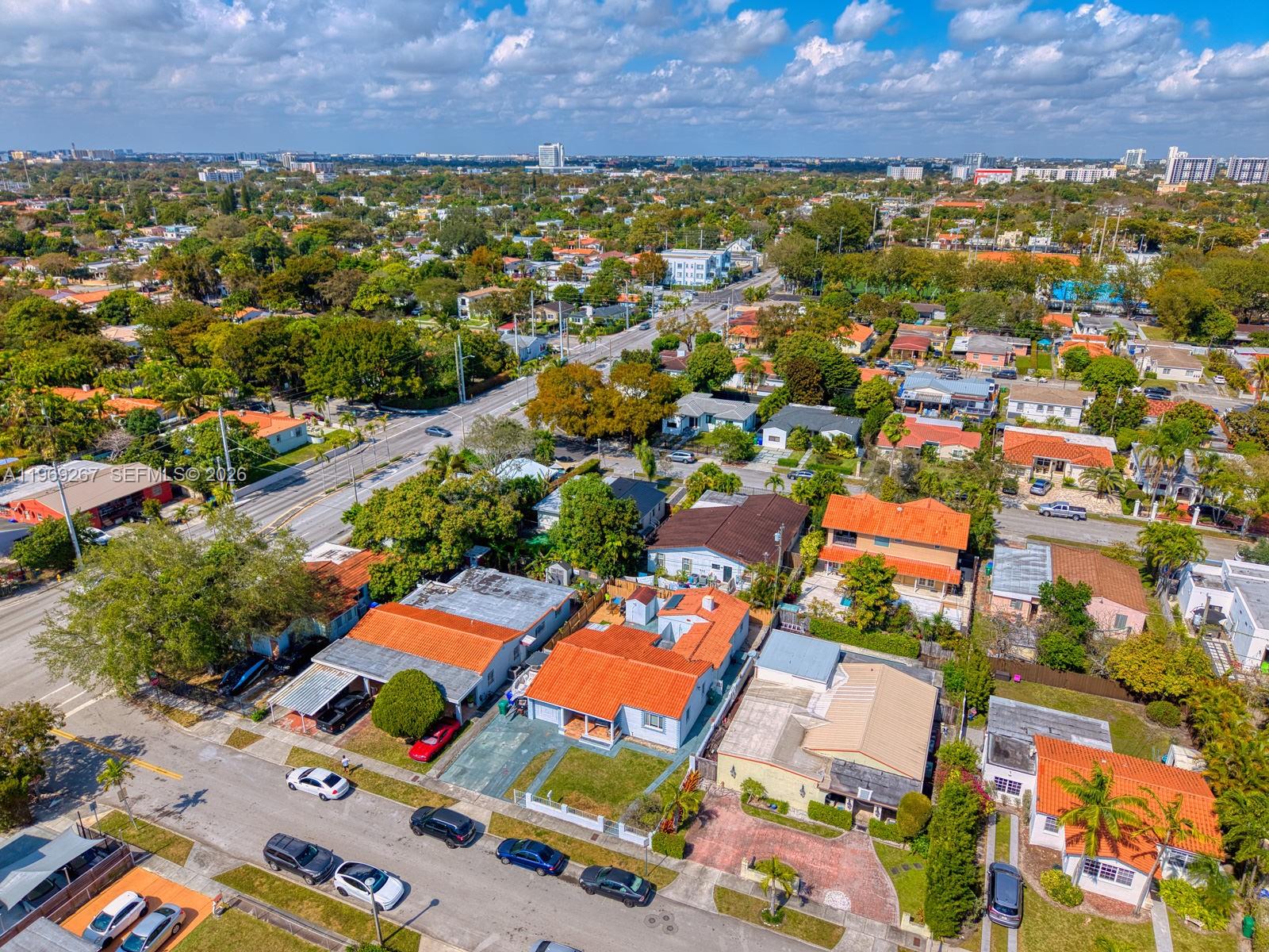 SHENANDOAH PARK - Residential