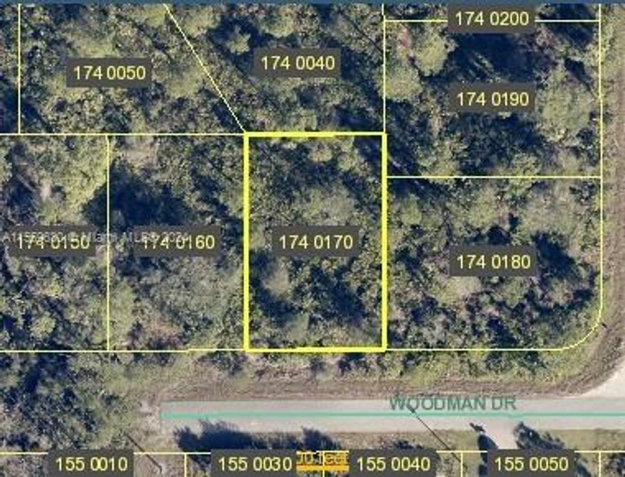 Peaceful Greenbriar living in the growing area of Lehigh Acres! Build your dream home or invest for the future, prices are on the rise. Close to shopping and I-75.