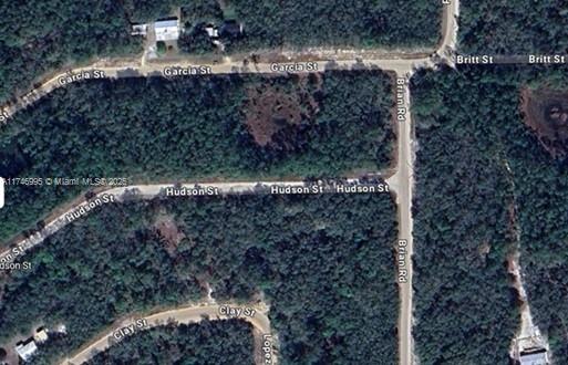 GREAT INVESTMENT OPPORTUNITY. BUILD YOUR DREAM HOUSE. 12 MORE LOTS AVAILABLE FOR SALE NEARBY. ALL INFORMATION FROM THE SELLER AND MUST BE VERIFIED BY THE BUYER!