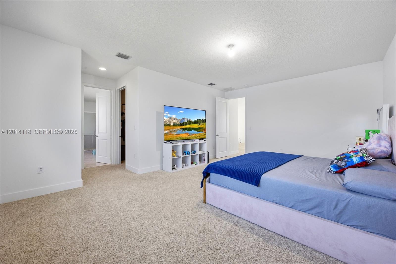MAPLE RIDGE AT AVE MARIA - Residential