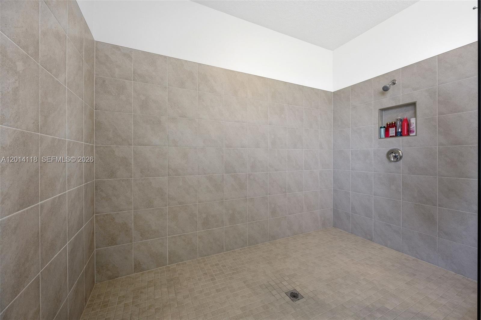MAPLE RIDGE AT AVE MARIA - Residential