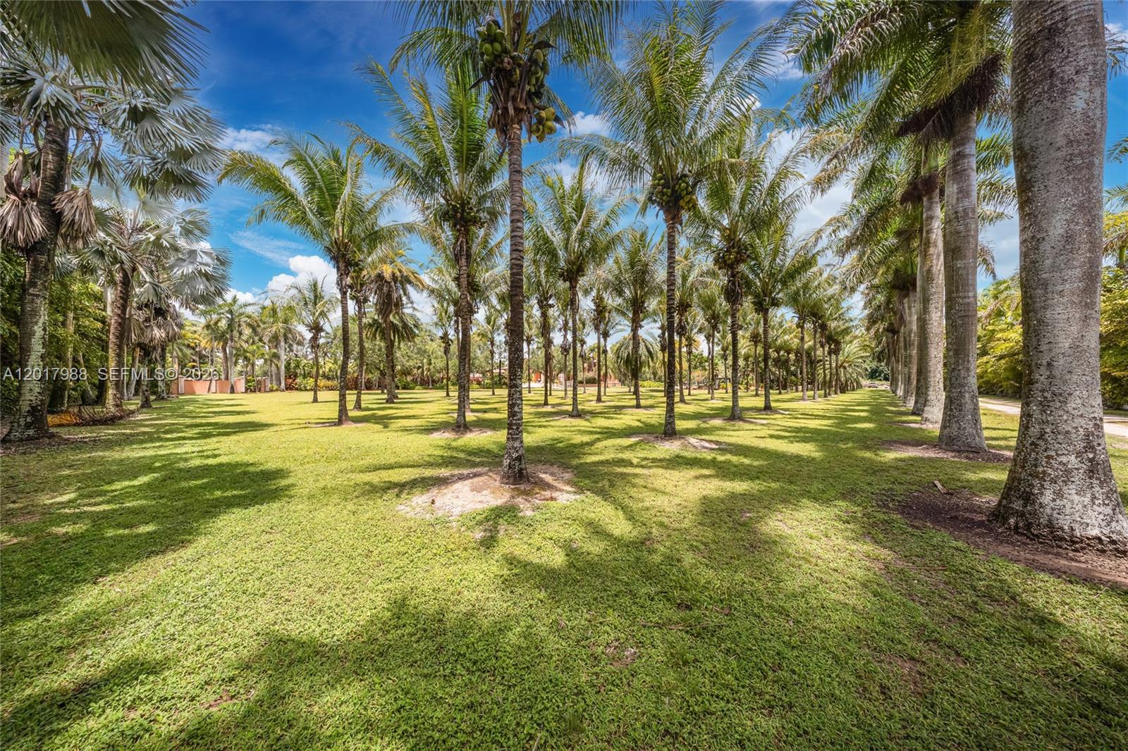 REDLAND ESTATE W/ GROTTO - Residential