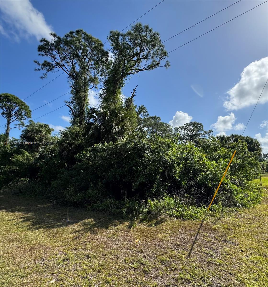This undeveloped parcel offers a blank canvas to build the home of your dreams or make a smart investment in a sought-after location. Nestled in a peaceful residential neighborhood, this lot provides the perfect balance of tranquility and convenience. Enjoy easy access to major roadways, top-rated schools, shopping centers, dining, and outdoor recreation, all just a short drive away. With a generous lot size, there’s plenty of space to design a custom home with a spacious yard, lush landscaping, or even a private pool. The area is ideal for those looking to build in a community that continues to expand while maintaining its natural beauty.