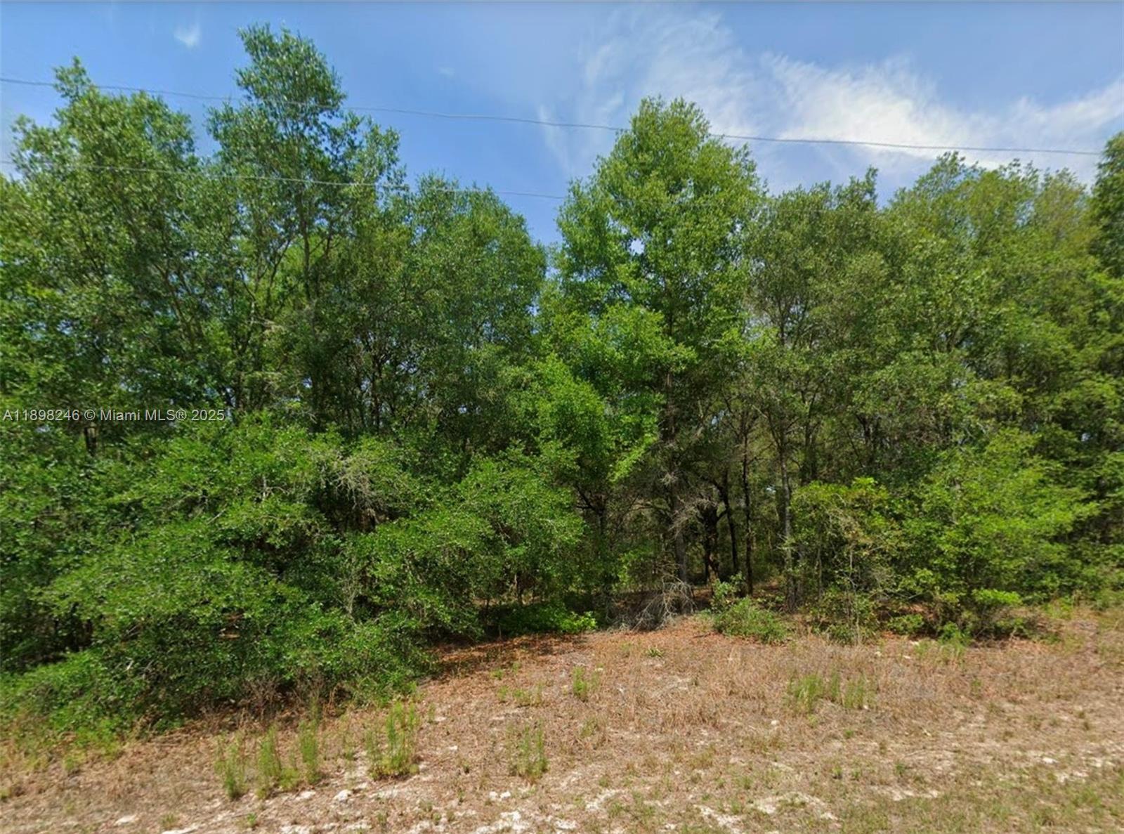 citrus springs - Land