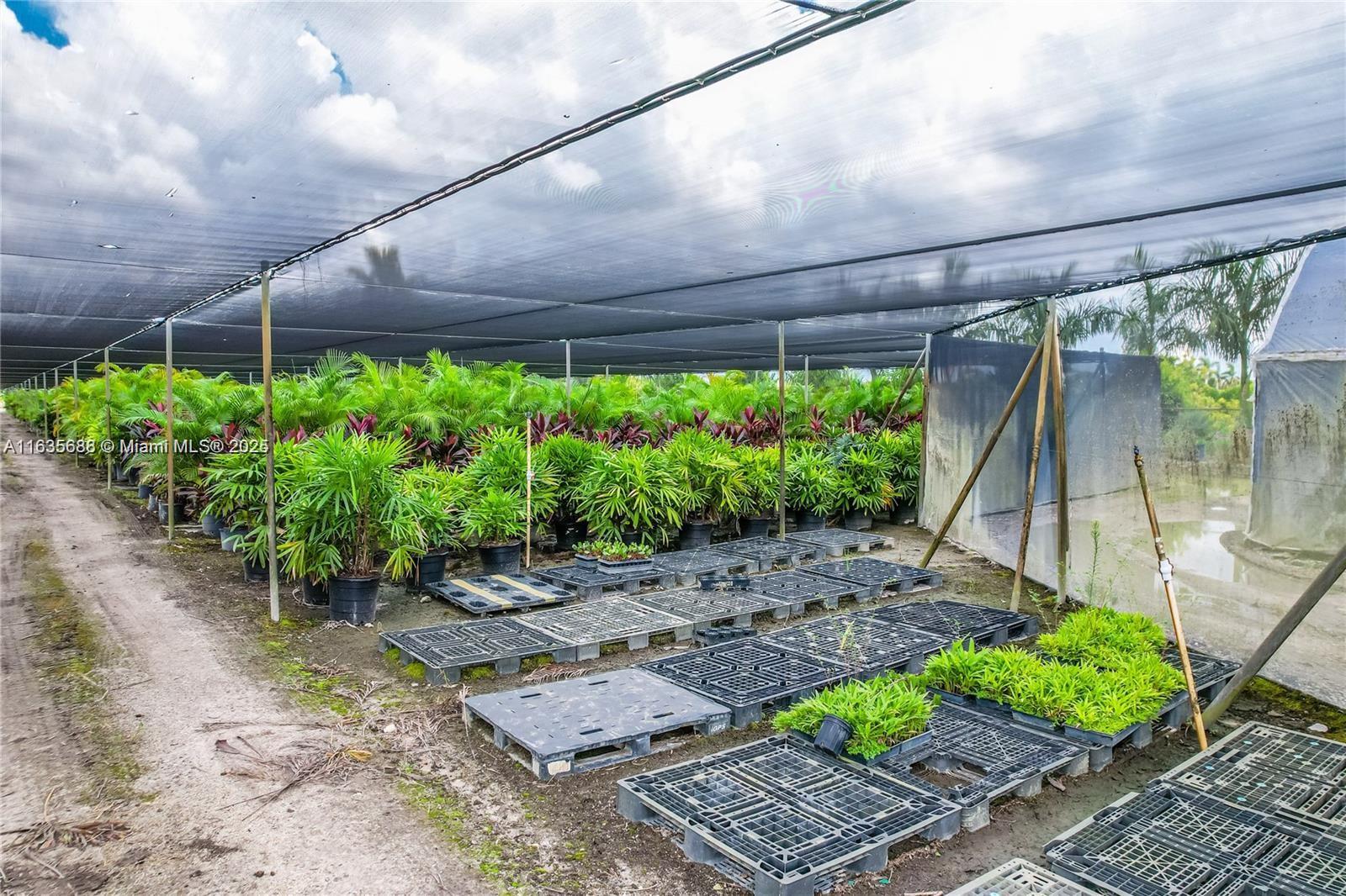 10 AC 2 FOLIOS - Commercial Sale