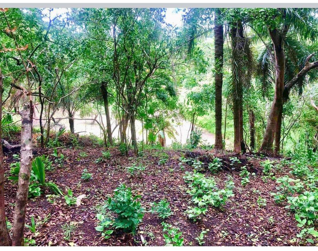 WEST END ROATAN ISLAND HN - Commercial Sale