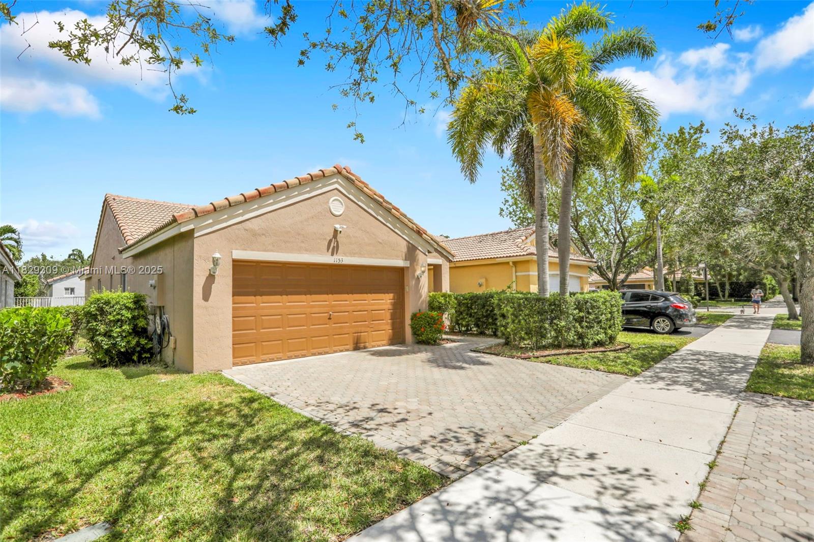 1153 Areca Way
