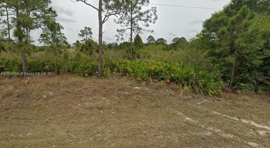 This lot is located in an area with newer homes and paved roads, mostly featuring ½-acre home sites. Conveniently situated near shopping centers, healthcare facilities, and more.
