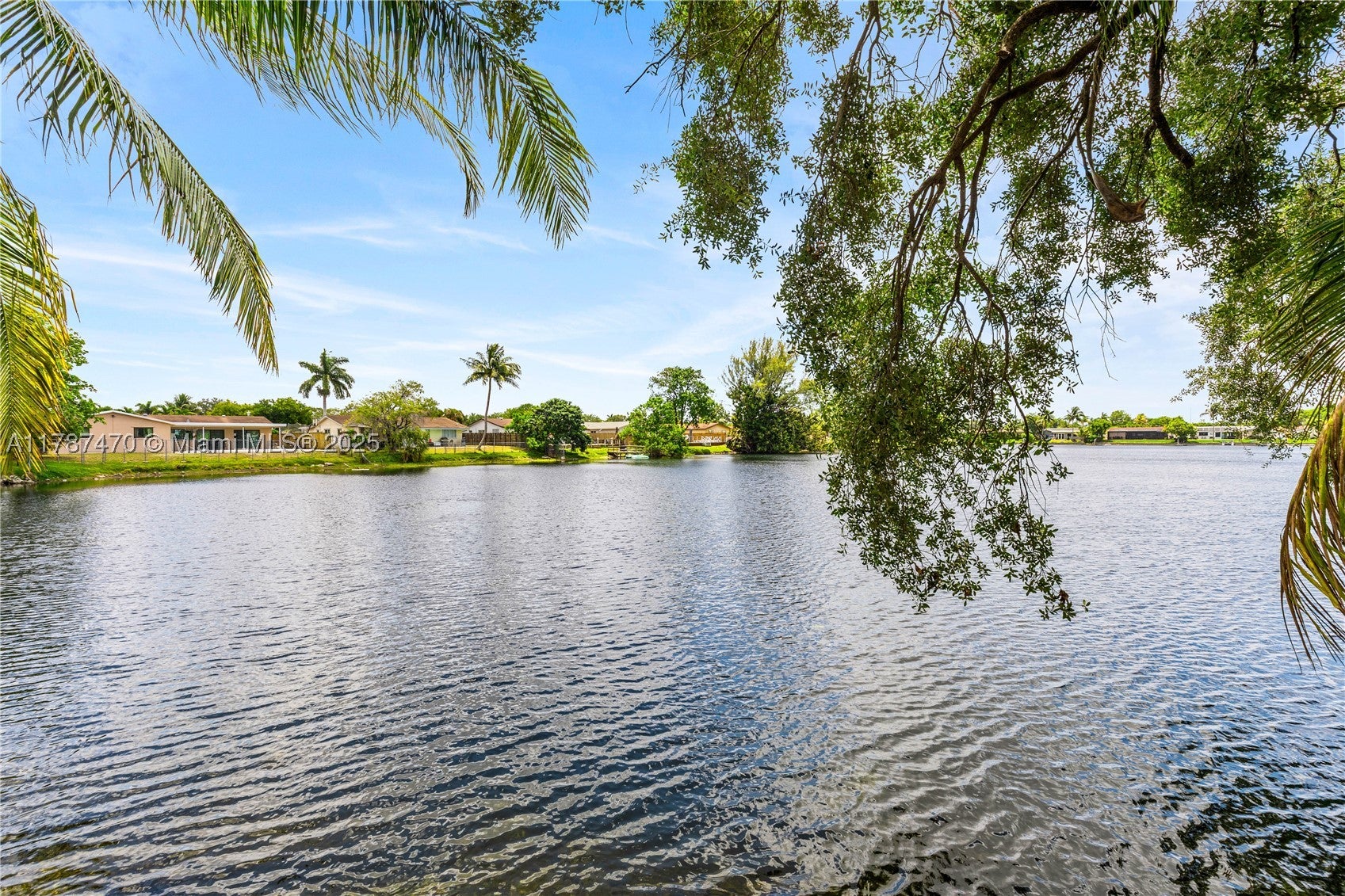 8956 Palm Tree Ln