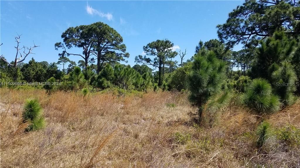 Photo of Bryant Rd, Fort Pierce, FL 34946 (MLS # A11509868)