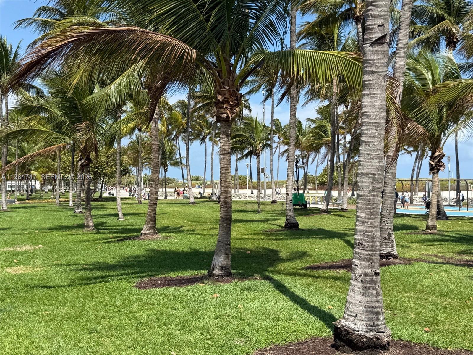 COLLINS VISTA CONDO - Residential