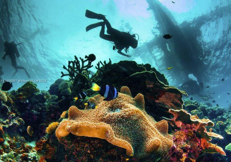 THE SAILFISH AT MARINERS - Residential