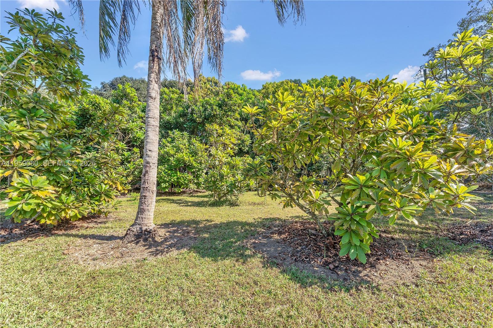 REDLAND - Residential