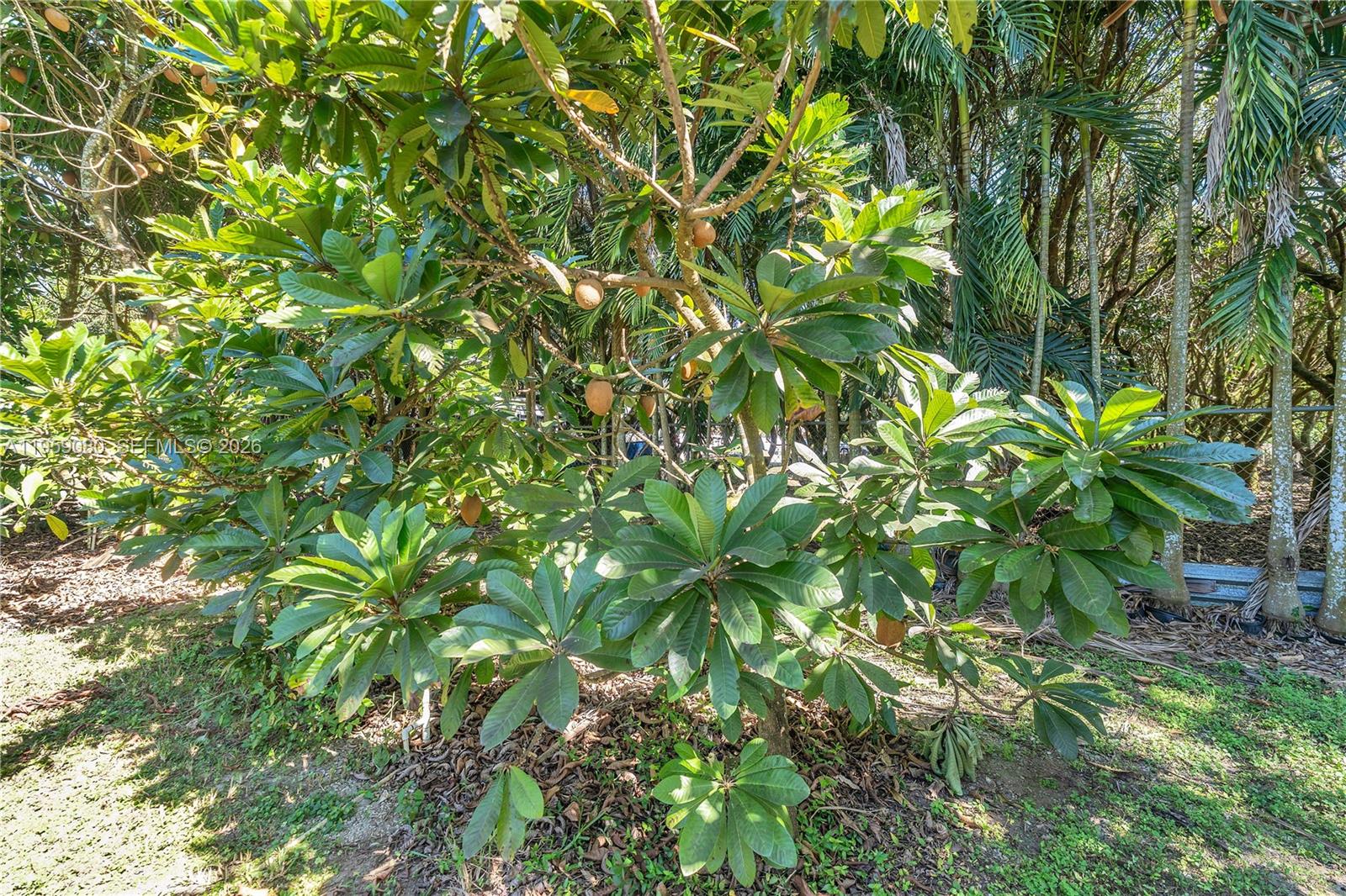 REDLAND - Residential