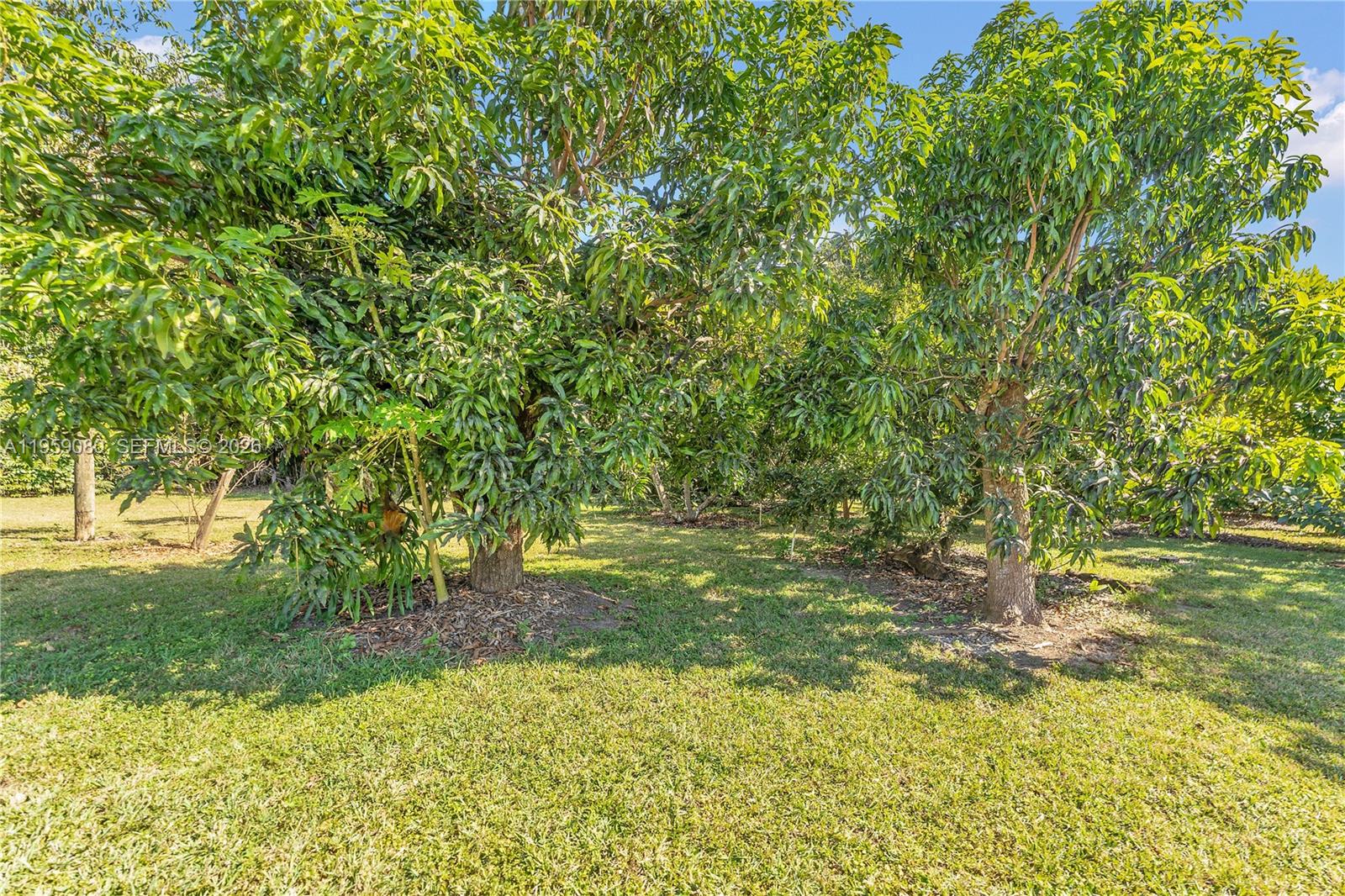 REDLAND - Residential