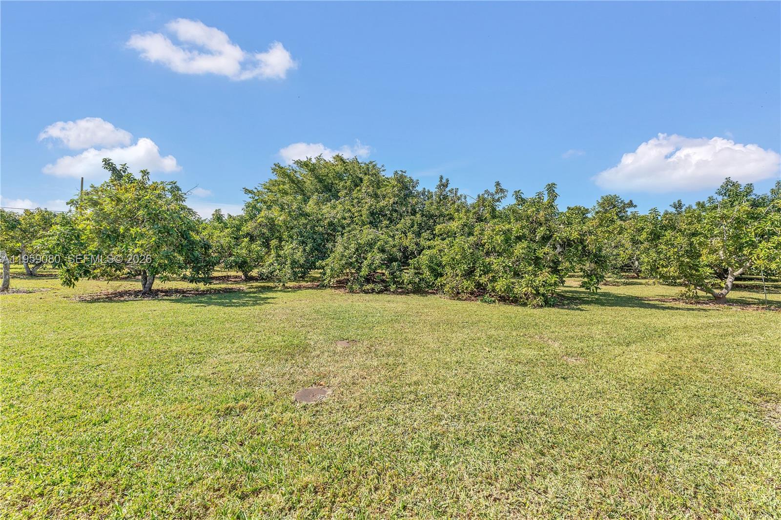 REDLAND - Residential