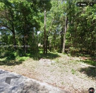 Rainbow Springs 05 REP - Land