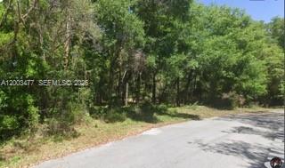 Rainbow Springs 05 REP - Land