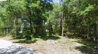 Rainbow Springs 05 REP - Land