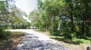 Rainbow Springs 05 REP - Land