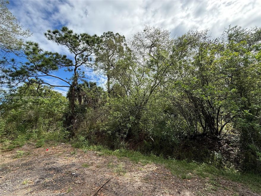 Discover the potential of this 1.25-acre raw lot located in the sought-after North Montura area. This high and dry parcel with no wetlands offers an excellent setting for a future homesite, mobile home, or investment opportunity. With plenty of space for a pool, fruit trees, and farm animals, this property provides the flexibility and rural lifestyle buyers are looking for. Situated in Montura Ranch Estates near Lake Okeechobee in Hendry County, the area is known for its wide-open spaces, privacy, and convenient access to CR 833 and US 27. Next to a Canal