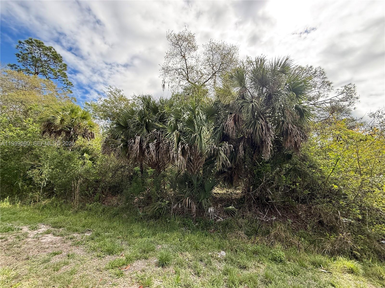 MONTURA RANCH ESTATES - Land