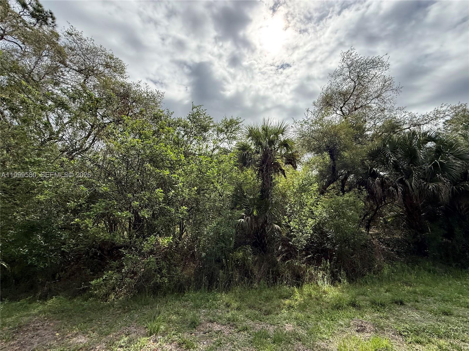 MONTURA RANCH ESTATES - Land