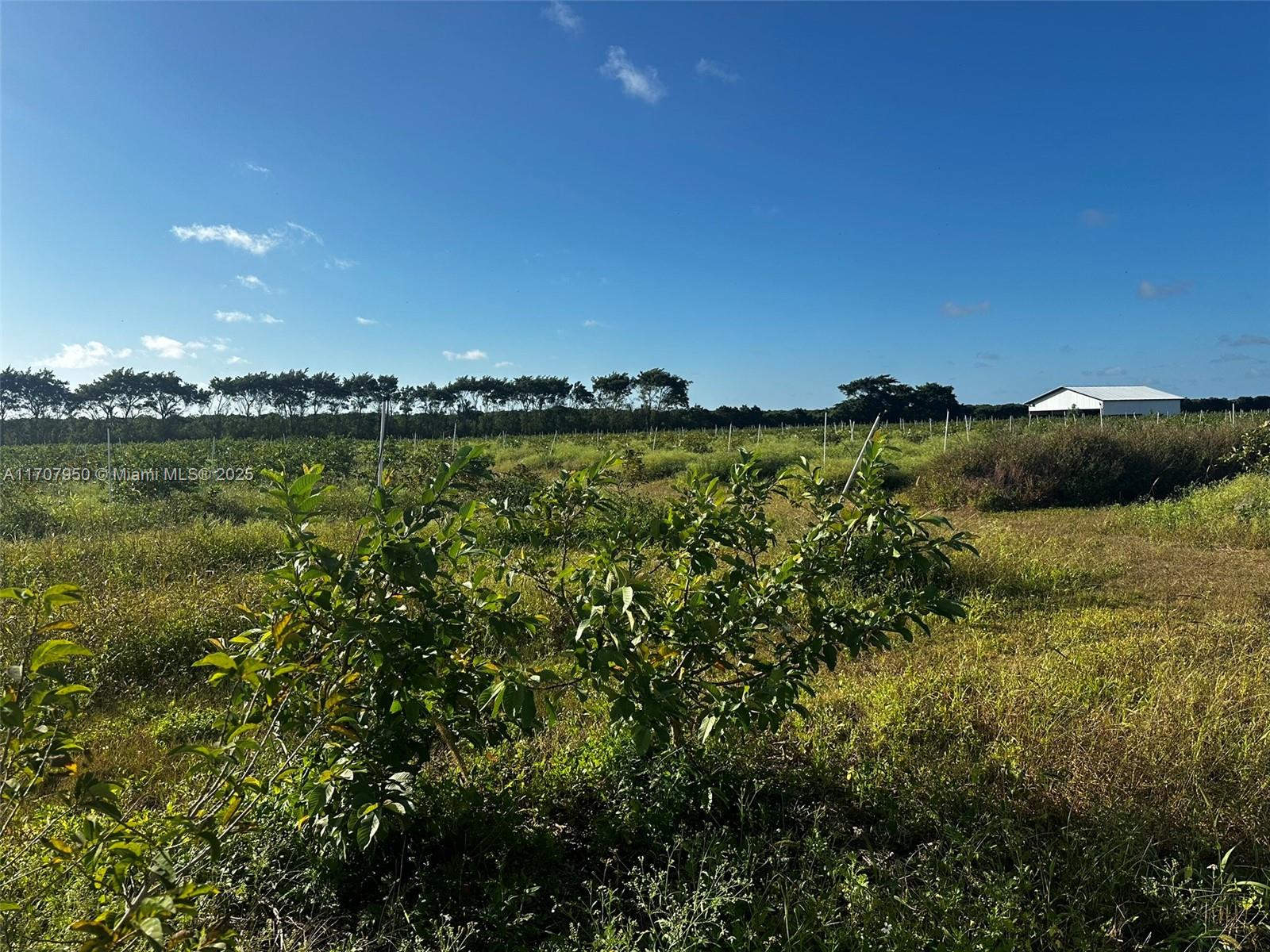 UNINCORPORATED MIAMI DADE - Land