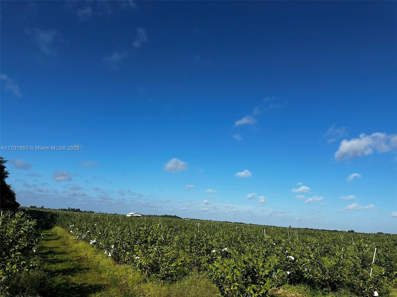 UNINCORPORATED MIAMI DADE - Land