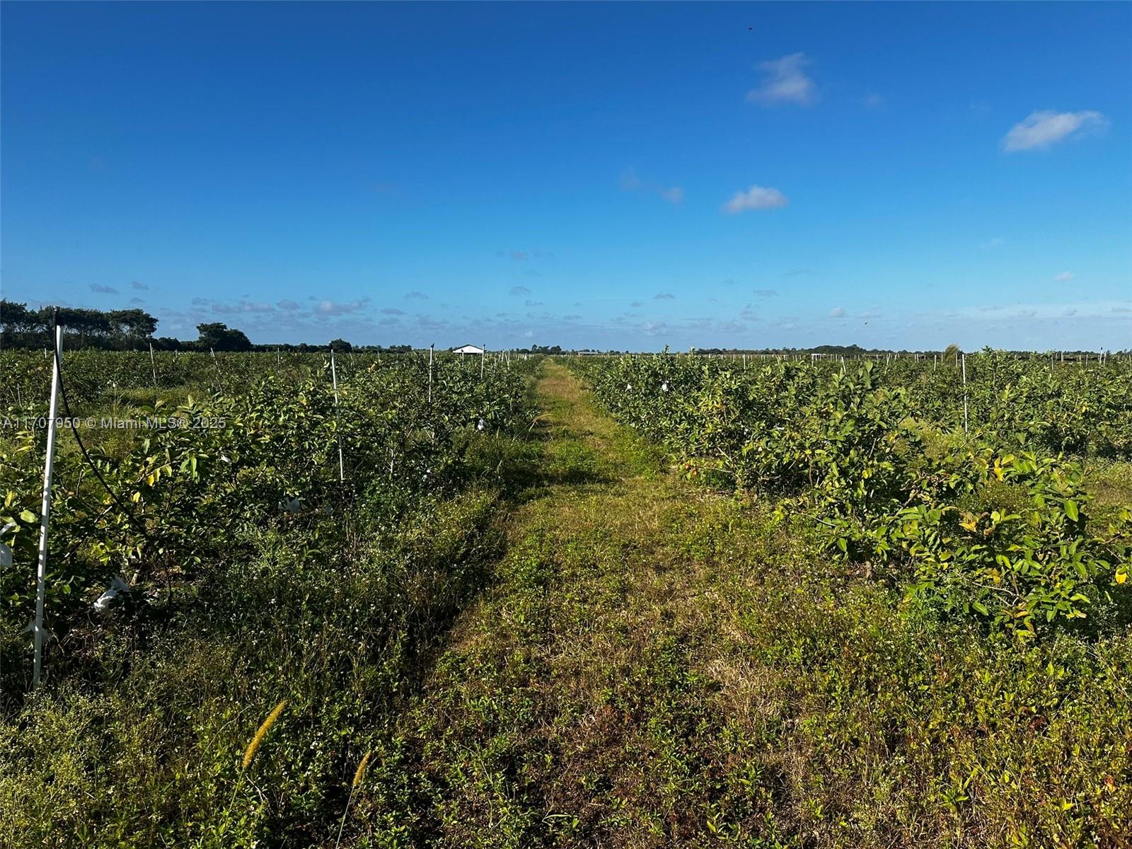 UNINCORPORATED MIAMI DADE - Land