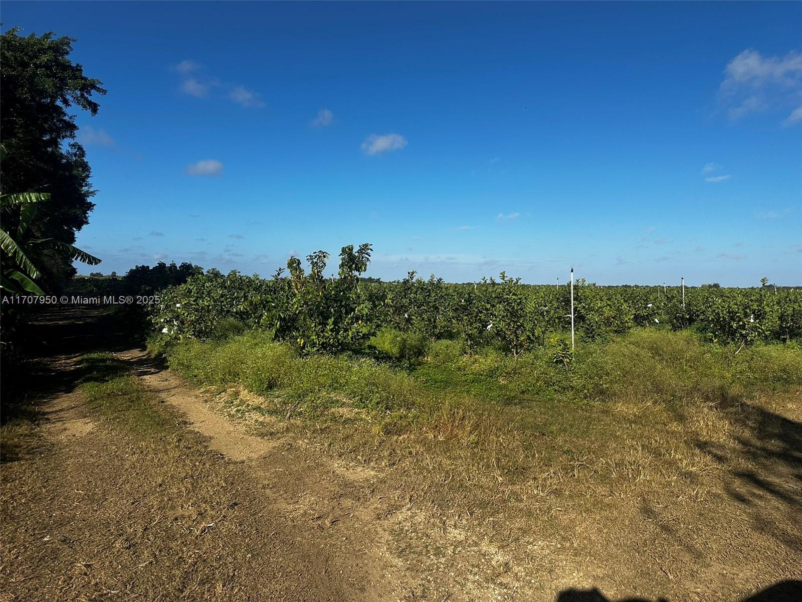 UNINCORPORATED MIAMI DADE - Land