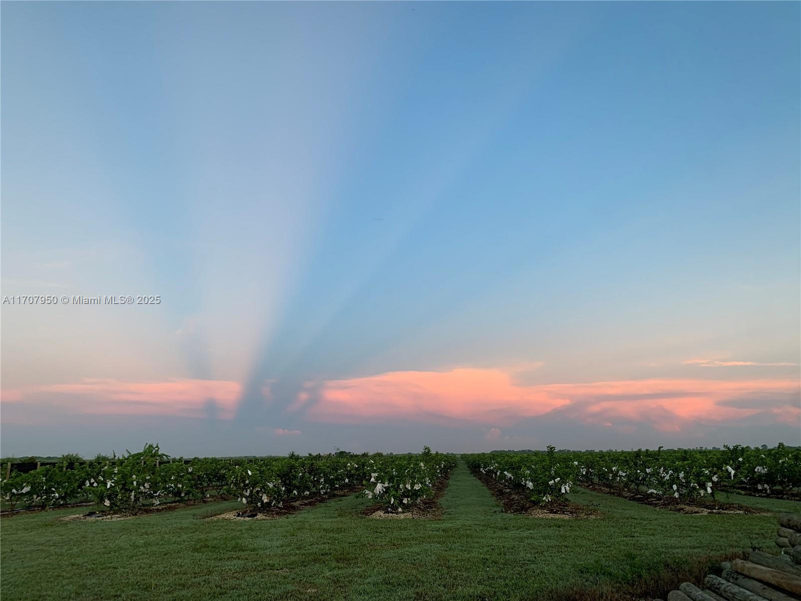 UNINCORPORATED MIAMI DADE - Land