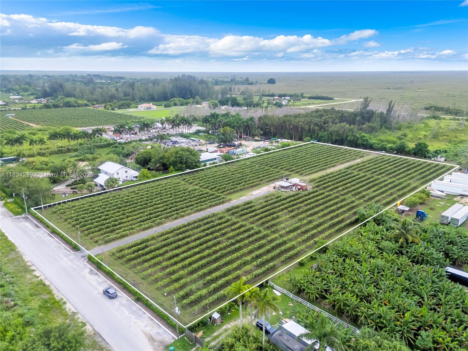 Discover the potential of this expansive 5 acres of land, currently adorned with over 4000 pitaya trees
included in the sale. Although not operating as a nursery, the property features a water well.
Prospective buyers are advised to conduct their own due diligence to ensure the land meets their specific needs.
Buyers will be responsible for any necessary environmental studies and verifying the feasibility of building a home
on the property. Address on the listing is to be verified by buyers. Please reference Folio #30-5822-000-0021