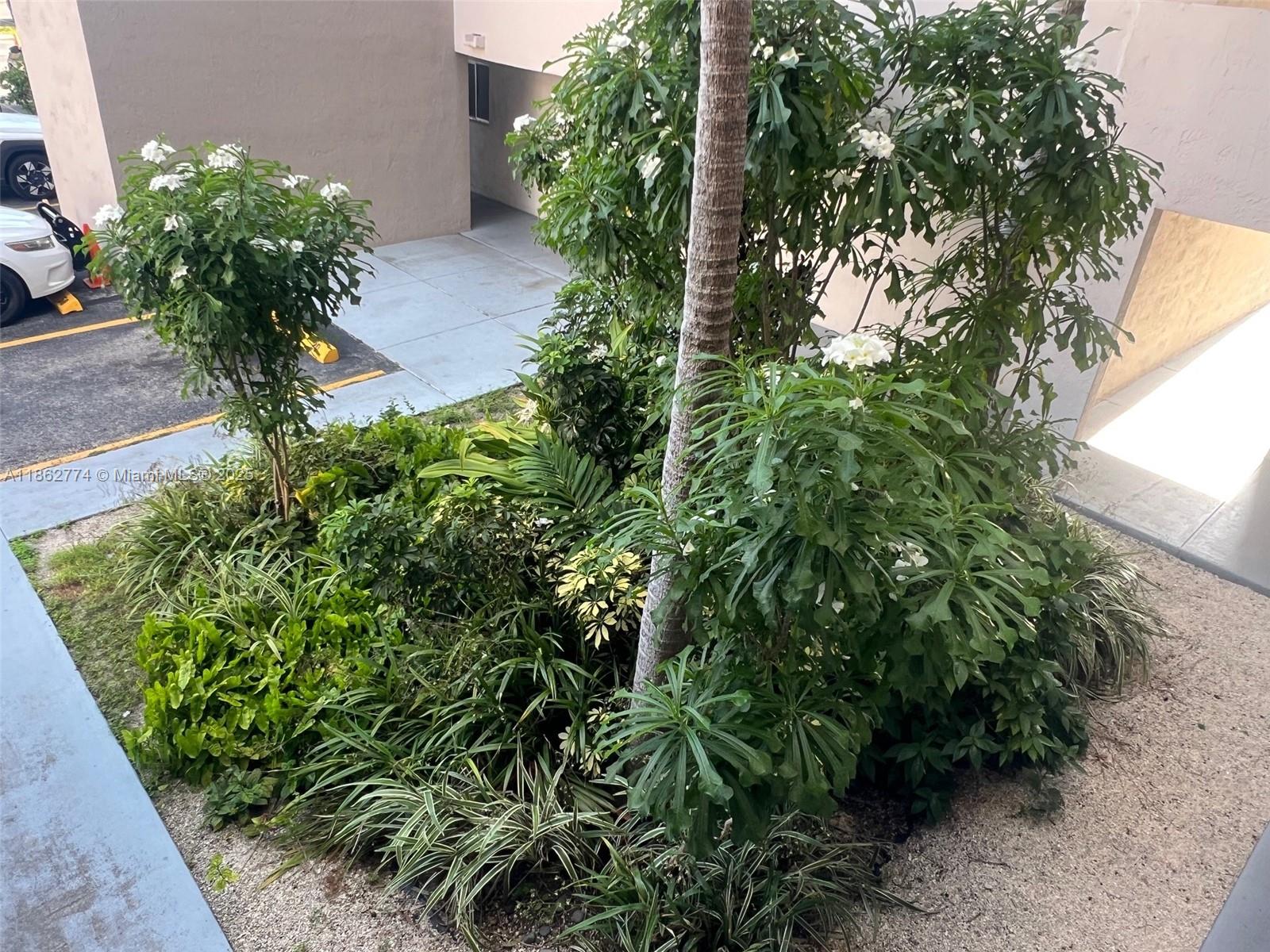 BARACOA CONDO - Residential