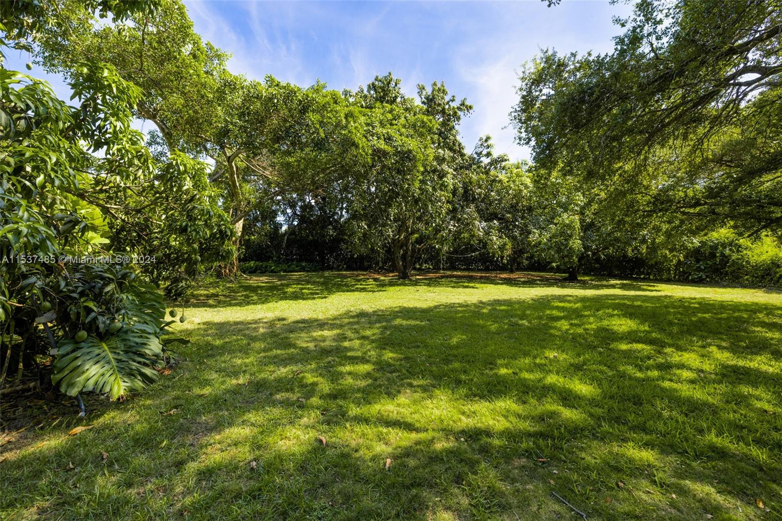 FLAGLER GROVE ESTATES SEC - Land