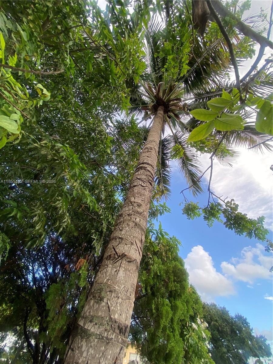 ANDERSON HEIGHTS - Residential