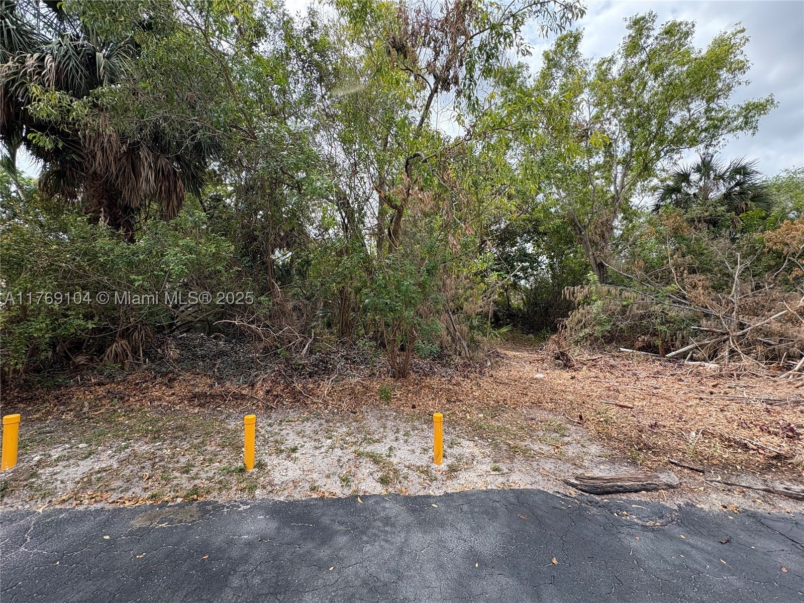 30xx Forest Hills Dr