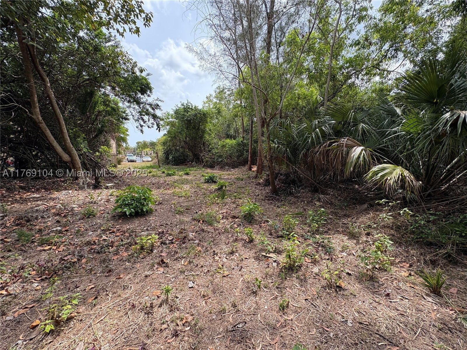 30xx Forest Hills Dr