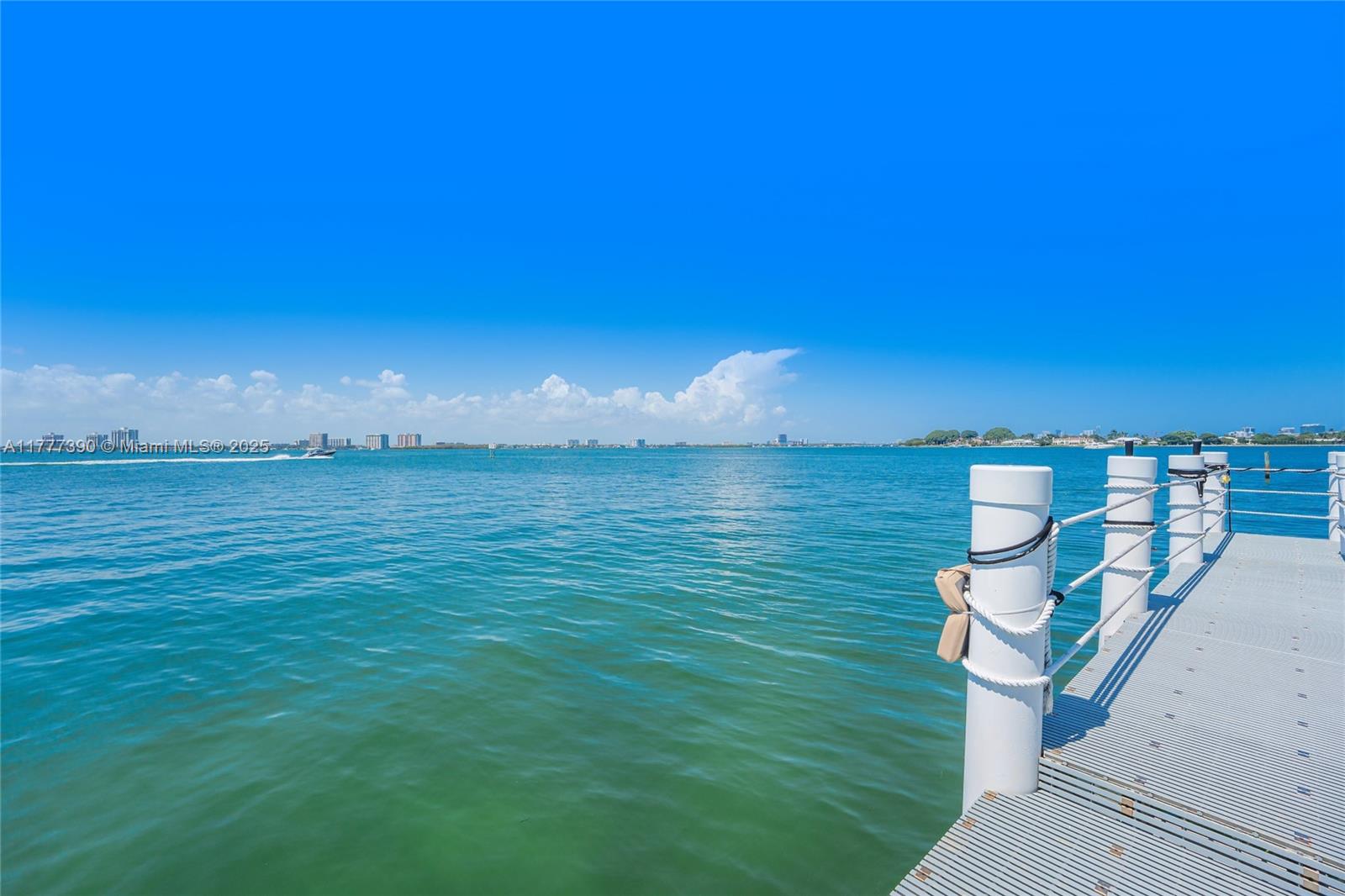 BISCAYNE POINT - Residential