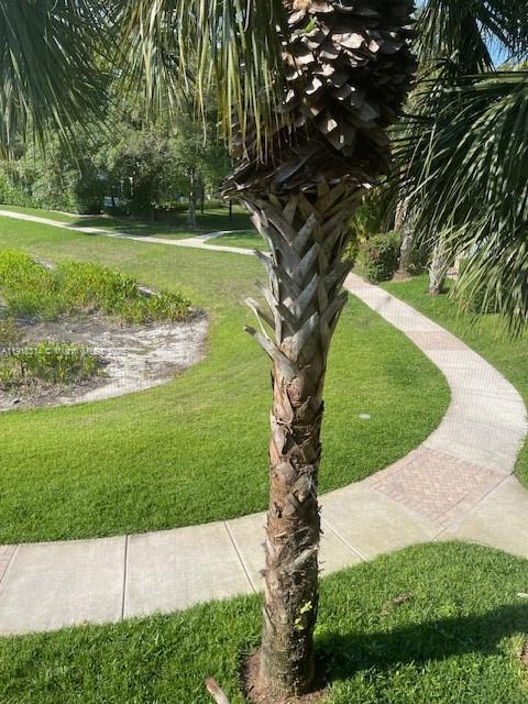 ROYAL WOODS CONDO - Residential