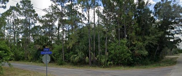 LEHIGH ACRES 12-44-26 - Land