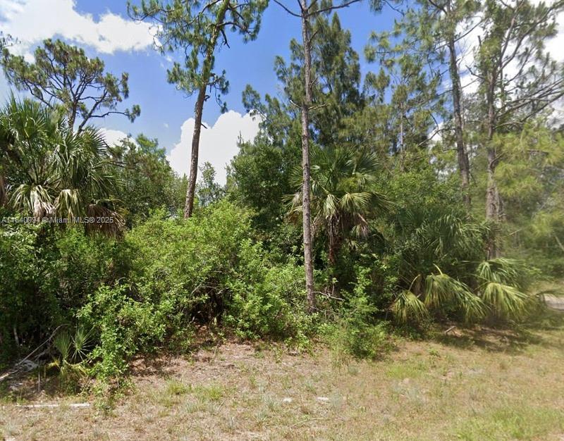 LEHIGH ACRES 12-44-26 - Land