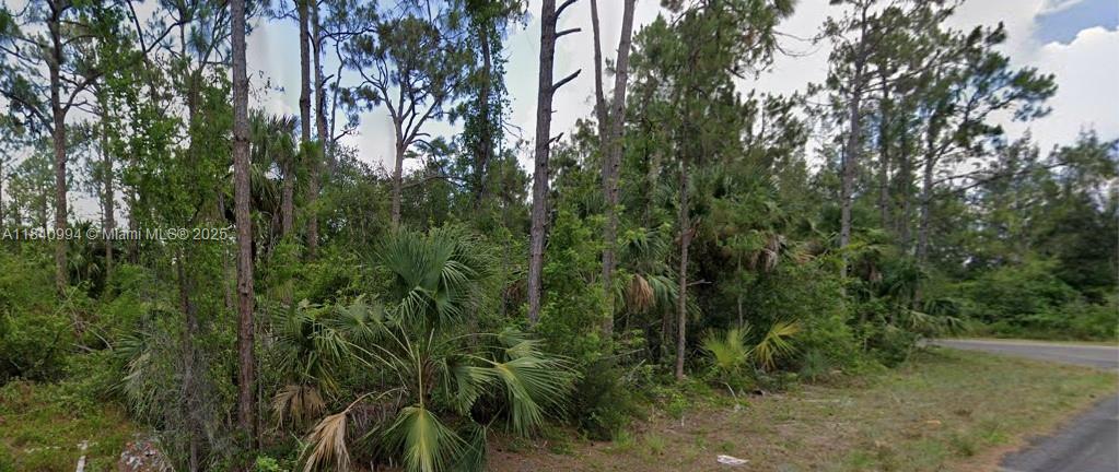 LEHIGH ACRES 12-44-26 - Land