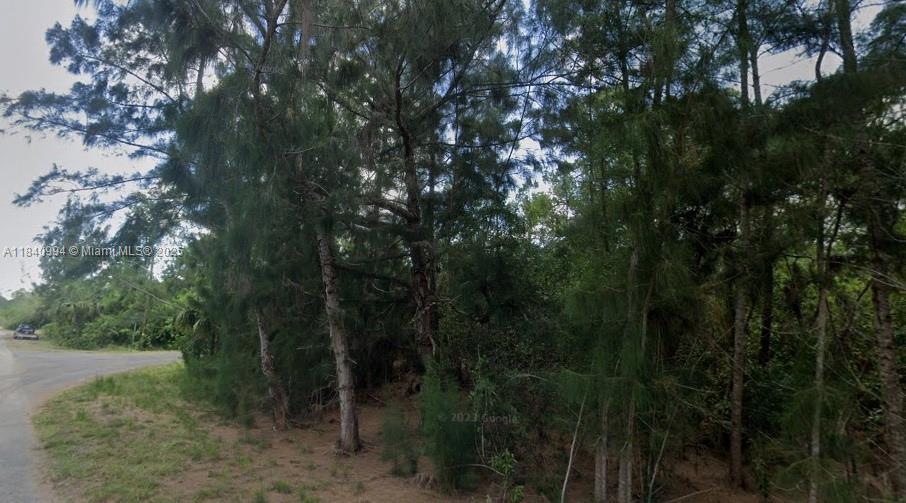 LEHIGH ACRES 12-44-26 - Land