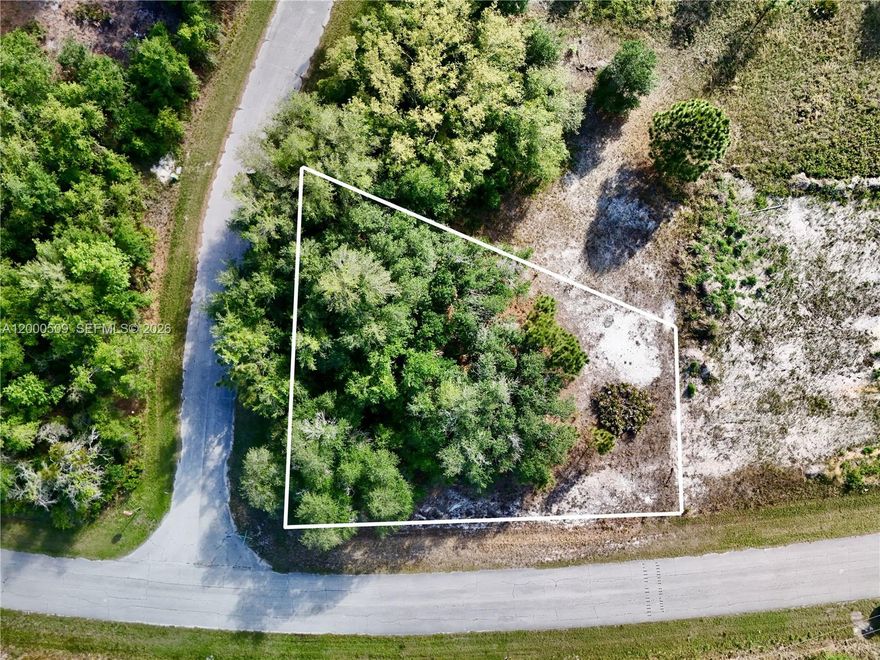 Build your dream home on this spacious 0.25-acre vacant lot located in a peaceful residential area of Poinciana. Situated on Mediterranean Ct, this property offers a great opportunity for future development or investment. Enjoy a quiet neighborhood setting while still being conveniently close to local schools, shopping, dining, and major roadways. Whether you’re looking to build now or hold for the future, this lot provides excellent potential in a growing community.