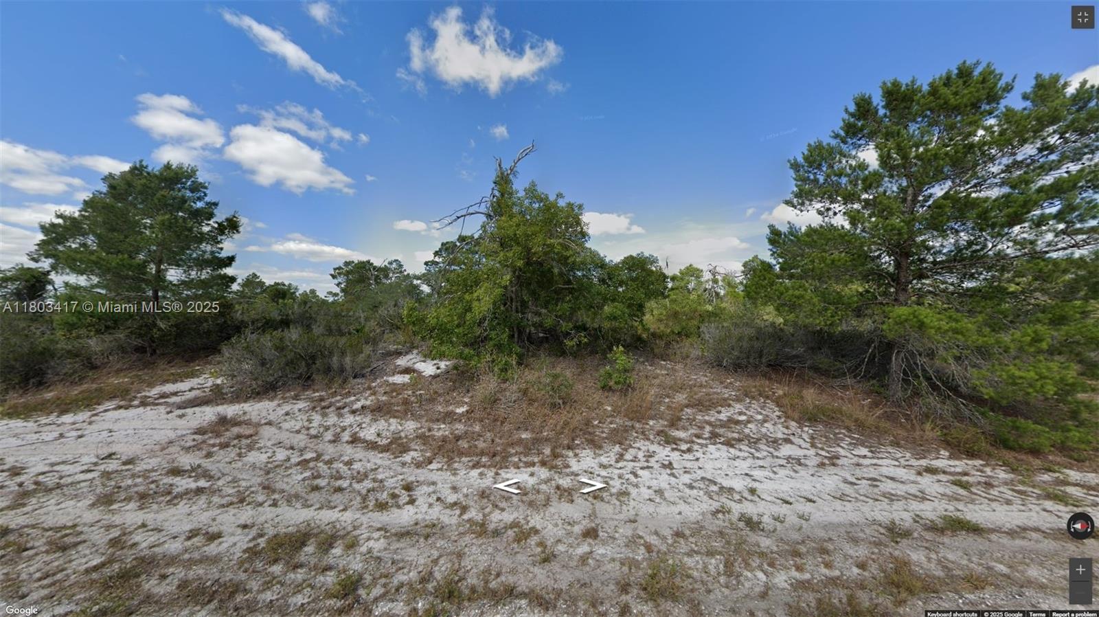 Prime opportunity to own vacant land in the rapidly growing area of Lake Placid. Located at 341 NE Galapagos Ave, this residential lot offers the perfect setting to build your custom dream home or invest in future development. Nestled in a quiet neighborhood surrounded by natural beauty, this property provides a peaceful atmosphere while still being close to local lakes, parks, shops, and schools. No HOA, no restrictions—bring your vision to life. Don’t miss out on this affordable piece of Florida paradise!