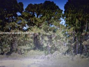 Nice Residential lot in a developing area. Great lot to build your house. We have more lots available. Price negotiable if buying more than one lot.