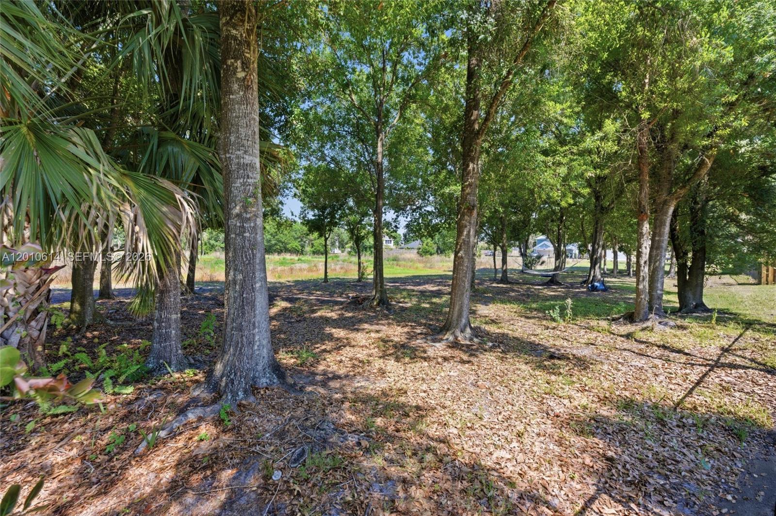 PALM POINTE - Residential