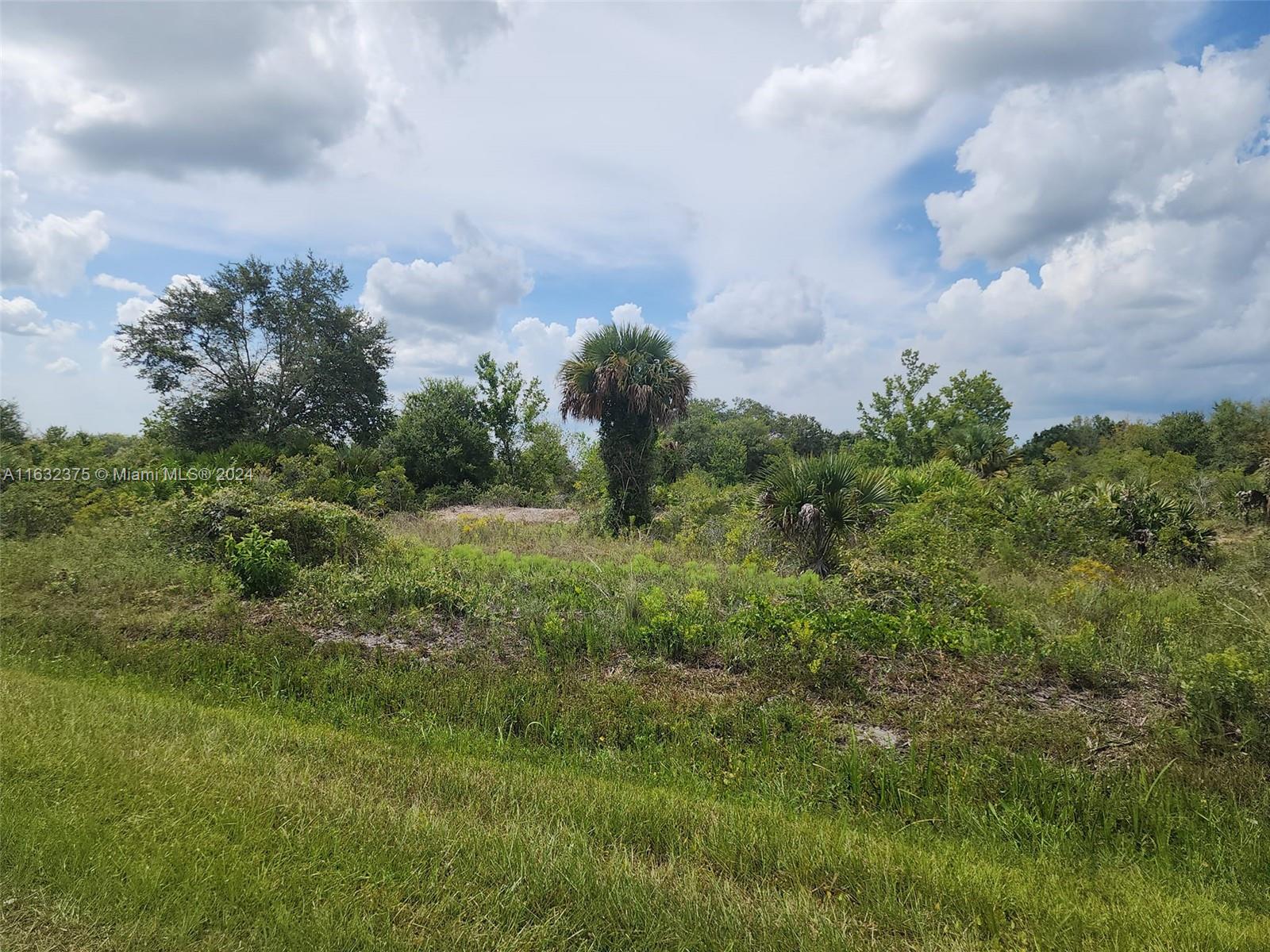 Seize the opportunity to own this 1.25-acre vacant parcel and create your dream home amidst nature's beauty. Situated a short drive from the main road, this private location is just a few miles west of Orange Ave, offering easy access to shopping, dining, I-95, and Florida's Turnpike. Perfect for building your dream house, engaging in agricultural activities, or raising cattle, this area is a paradise for outdoor enthusiasts. Explore nearby attractions like the Kissimmee River Preserve State Park and Lake Okeechobee. Whether your interests lie in fishing, hunting, agriculture, or simply enjoying seclusion, Okeechobee County offers the perfect setting for a personalized retreat. Please note that due diligence is the buyer's responsibility, and all property is sold as-is.